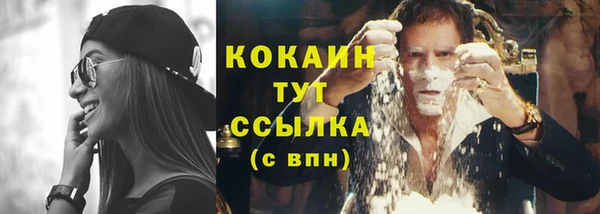 герыч Пересвет