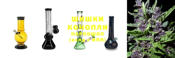гидра Пестово